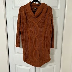BARELY WORN Express Sweater